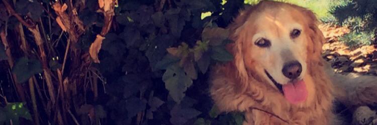 HannahLocy's profile banner image