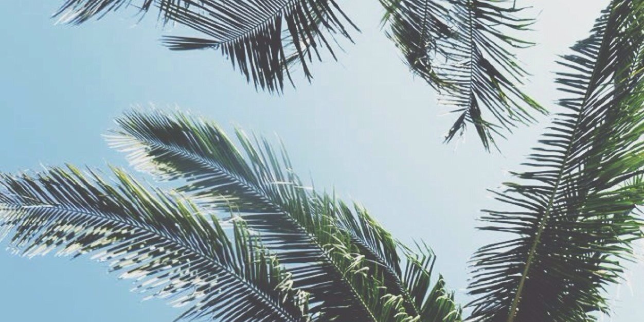 hannzzor's profile banner image
