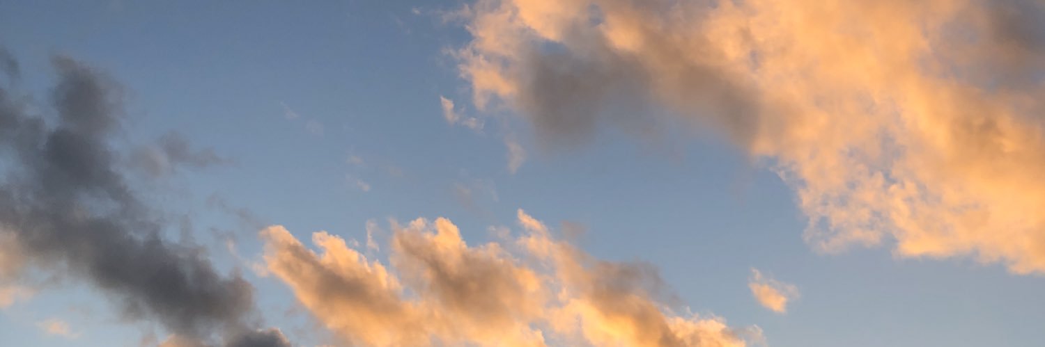 lizzyyysmall's profile banner image