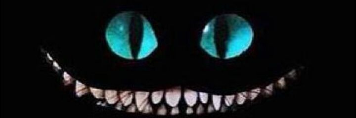 Isa_SRL's profile banner image
