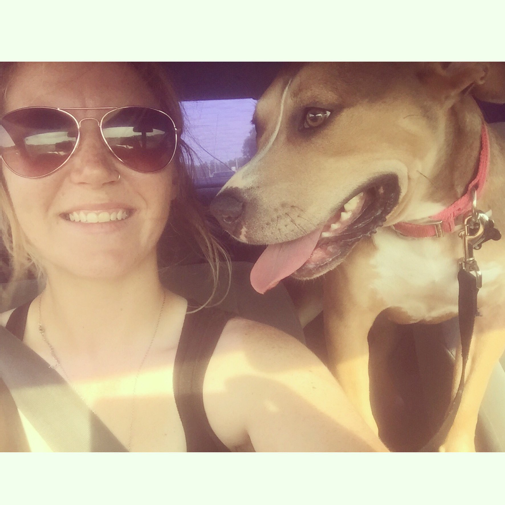 jdaniellexoxo's profile banner image