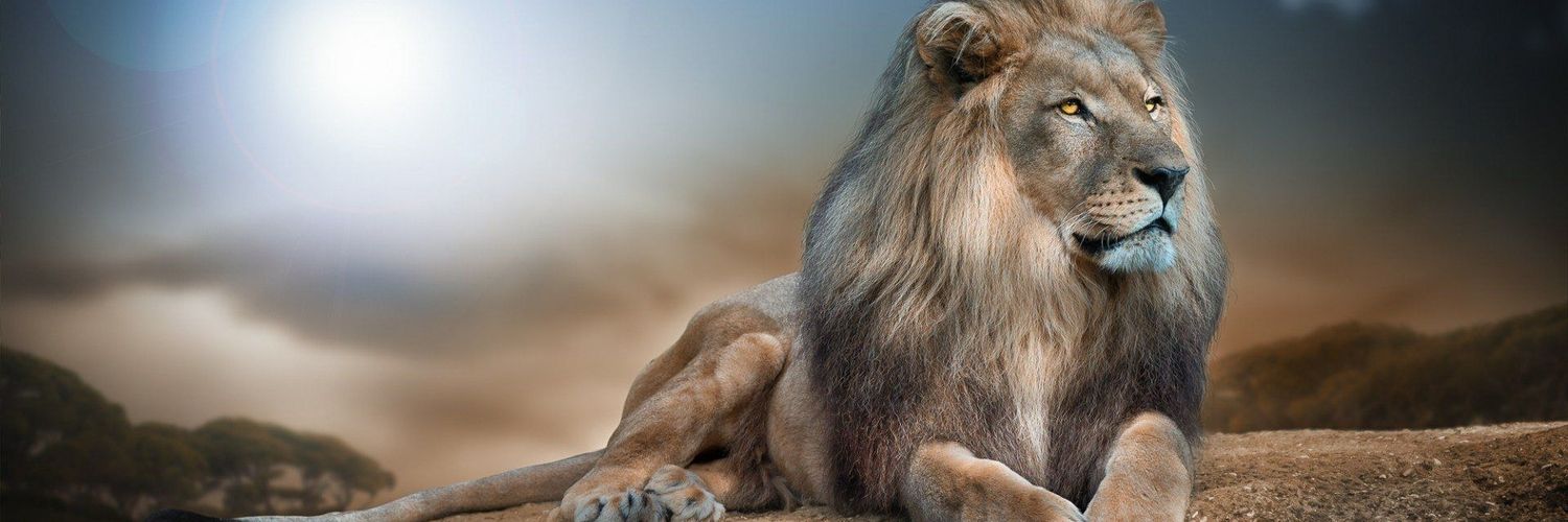 Bertrounious's profile banner image
