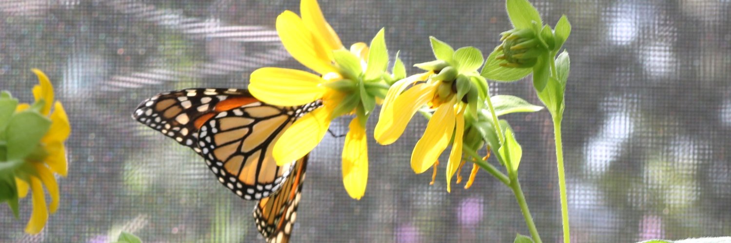 EMMulligan13's profile banner image