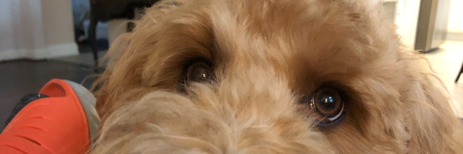 Kyedguy's profile banner image