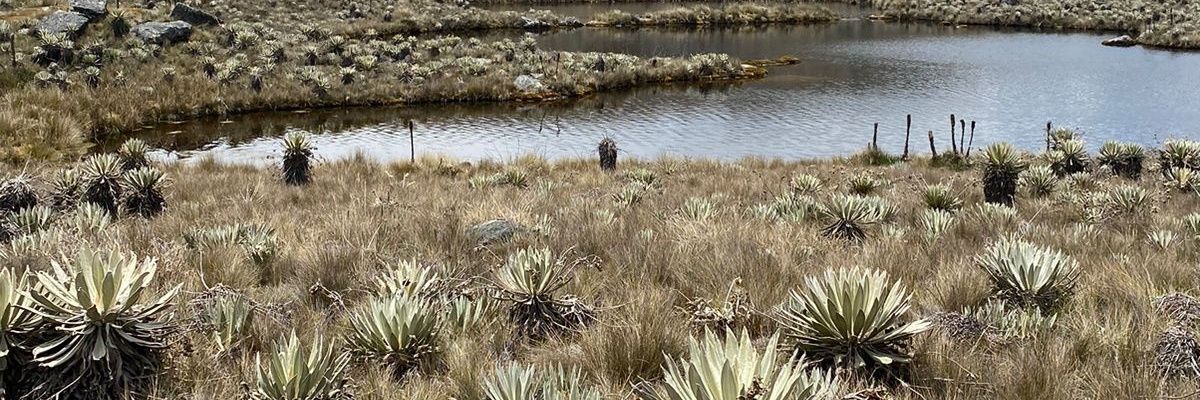 JavierPachecoP's profile banner image