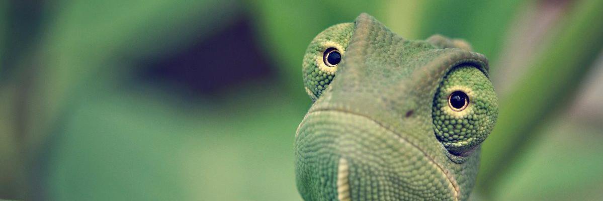 gugulgur's profile banner image