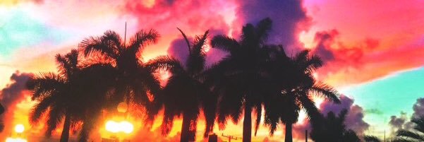 carlyherskowitz's profile banner image