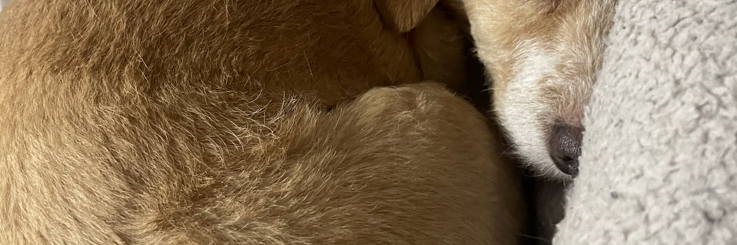 ekiscea's profile banner image