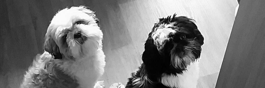 gillritchie2000's profile banner image