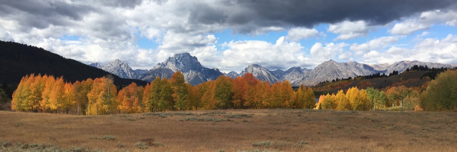 Kimberly Flores banner