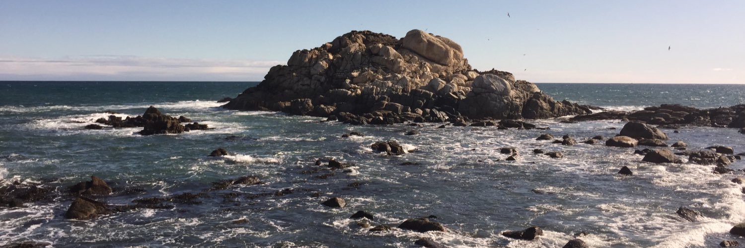 almmclaughlin's profile banner image