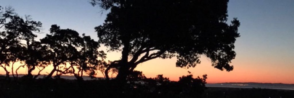 tommyrubens's profile banner image