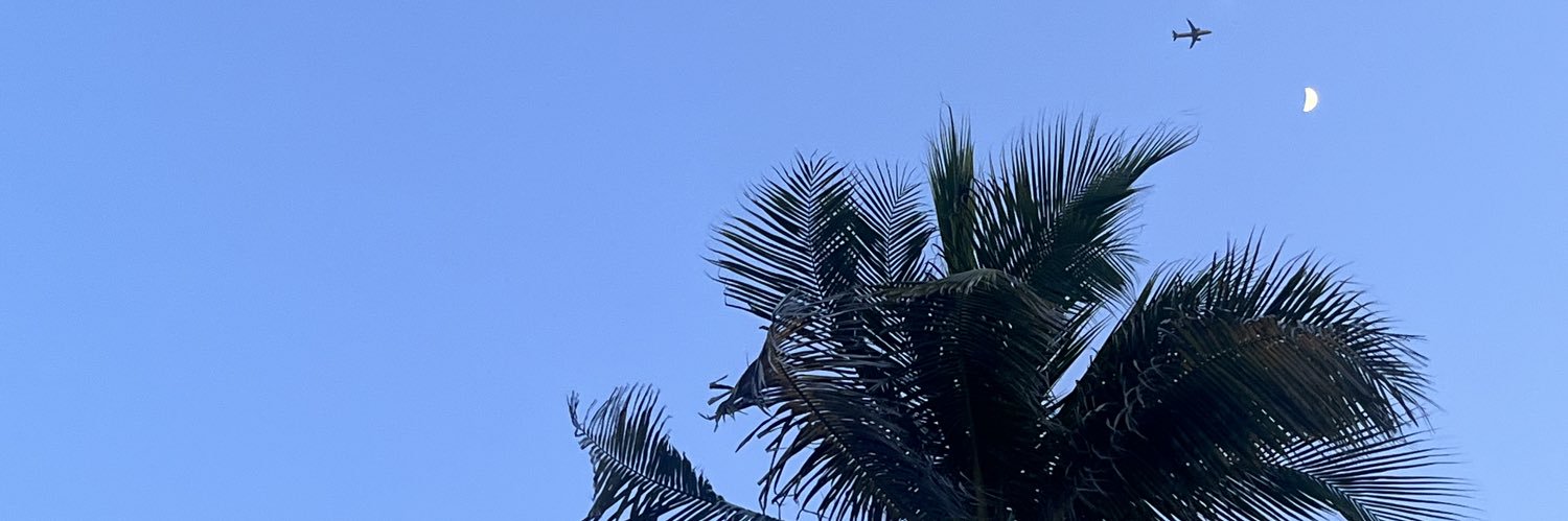 morgankiersten6's profile banner image