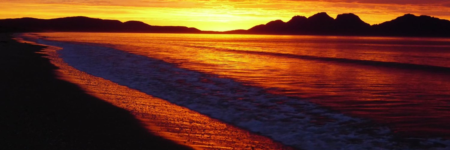 Dr Robyn Moore (she/her) banner