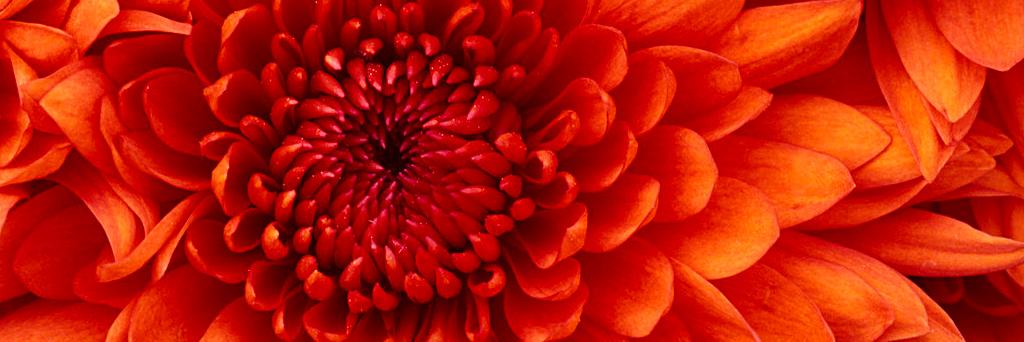 _linlindaa's profile banner image