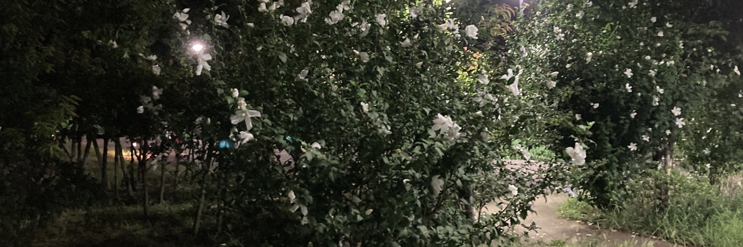YouhowOhgaki's profile banner image