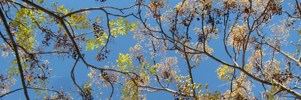 Marie_LSJ Profile Banner