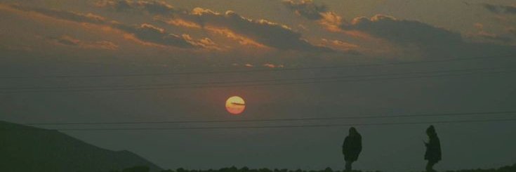 ROYA banner