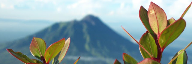 DDyahAyu's profile banner image