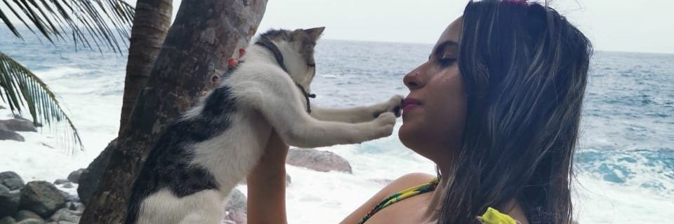 MeliiGallo's profile banner image