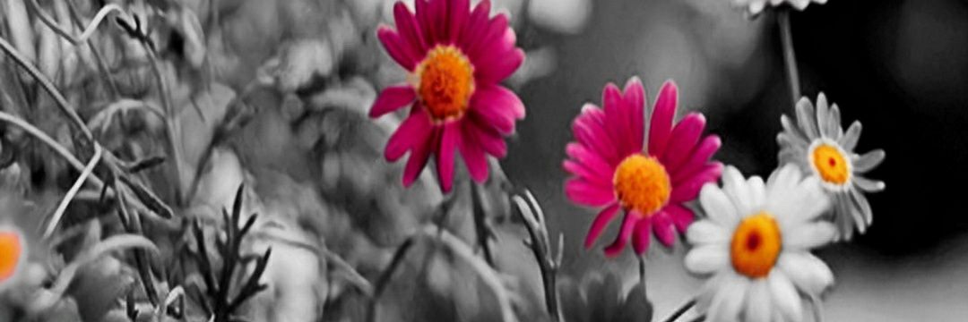 just_me_De's profile banner image