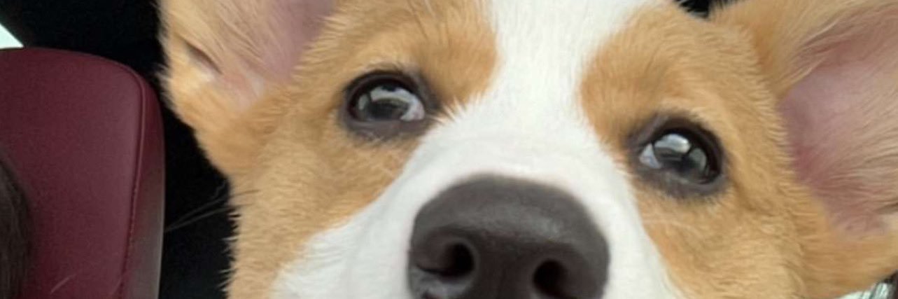 Cmunoz206's profile banner image