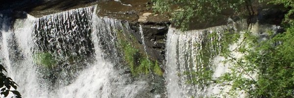 stephaniemalley Profile Banner