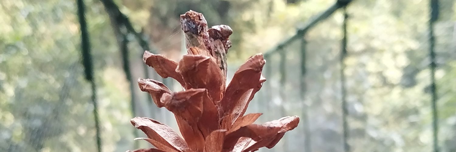 paullafaa's profile banner image