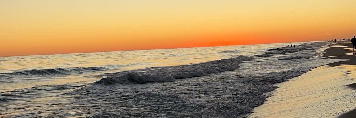 SummerRowell's profile banner image