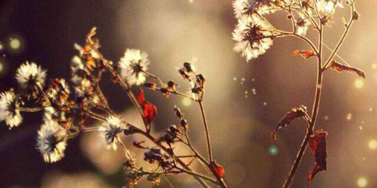 j e u n g n u r banner