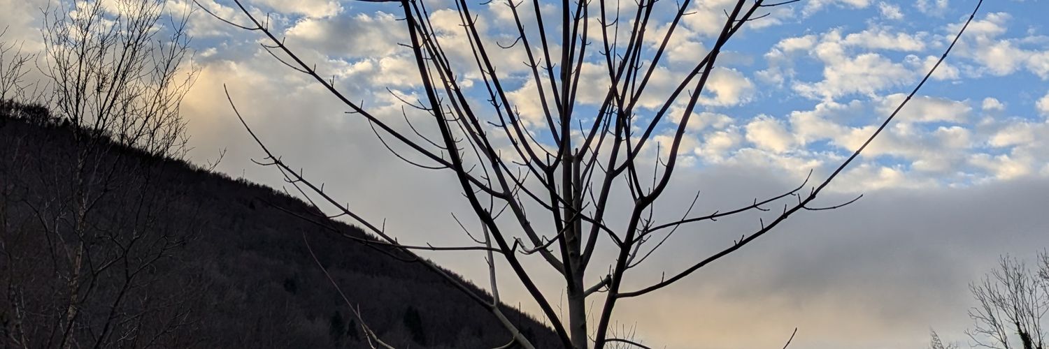 EarthyBond's profile banner image