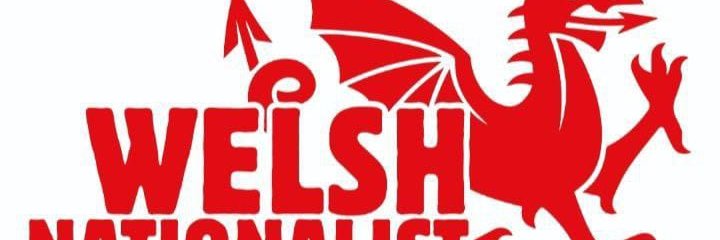 Welsh Nationalist banner
