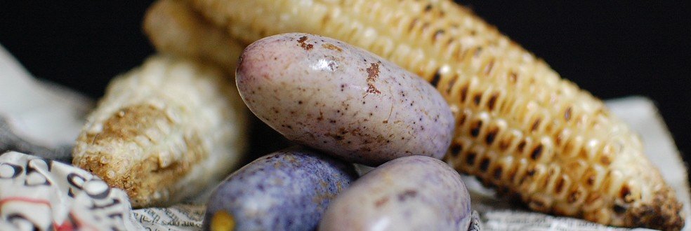 Moses Unongu, MSyI banner