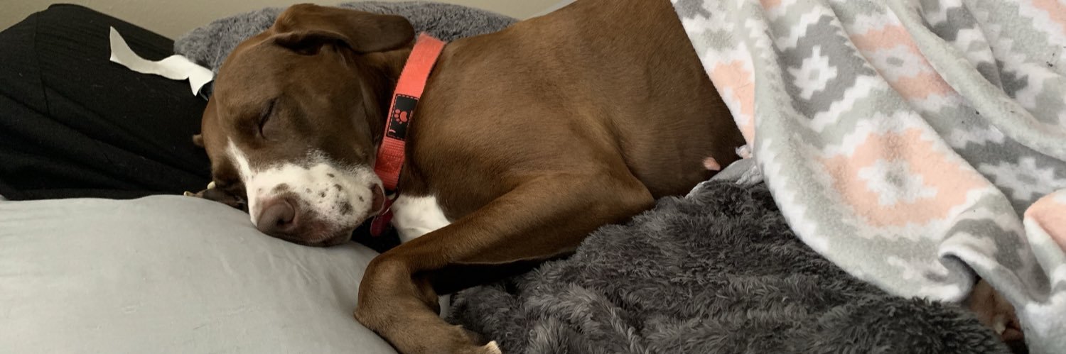LilyRemington's profile banner image