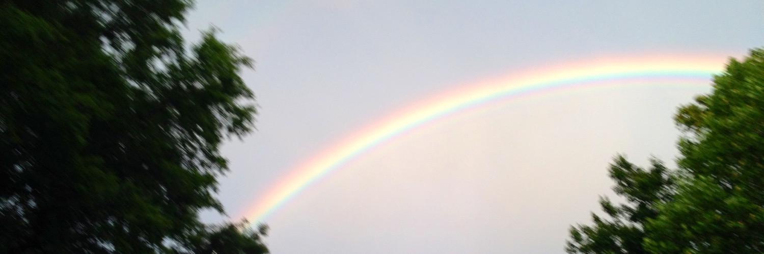 oopseey's profile banner image