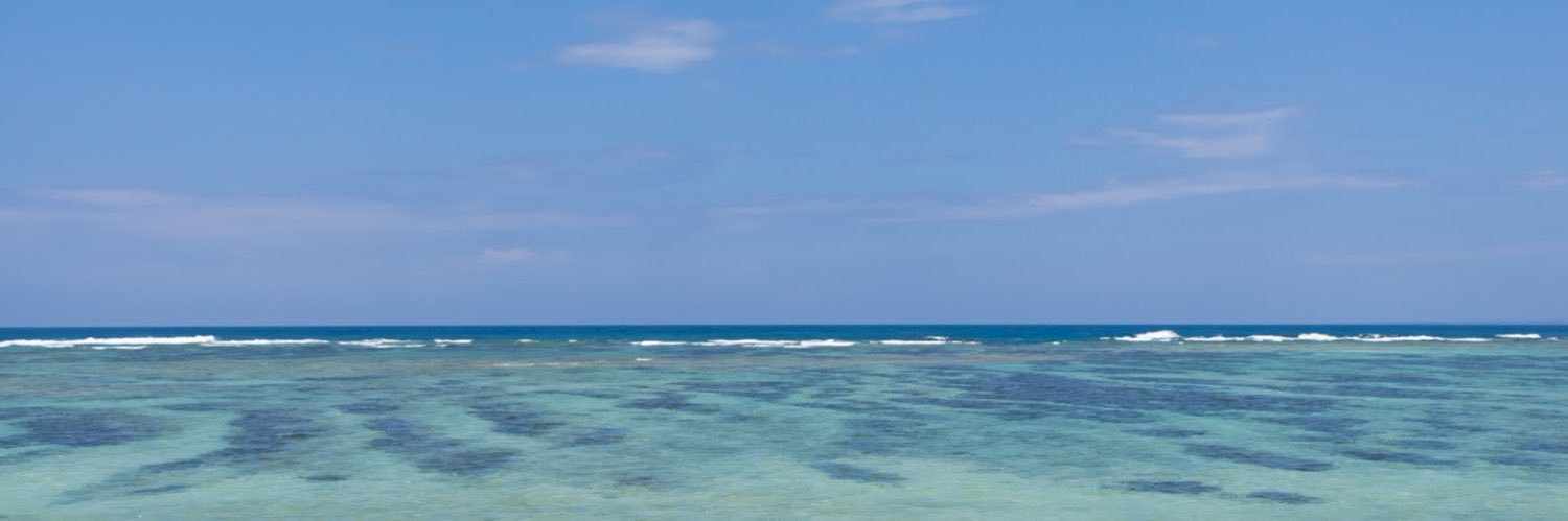 imu_hata's profile banner image