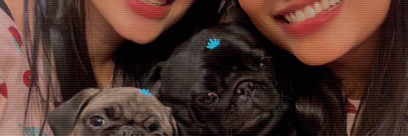 chagellado's profile banner image