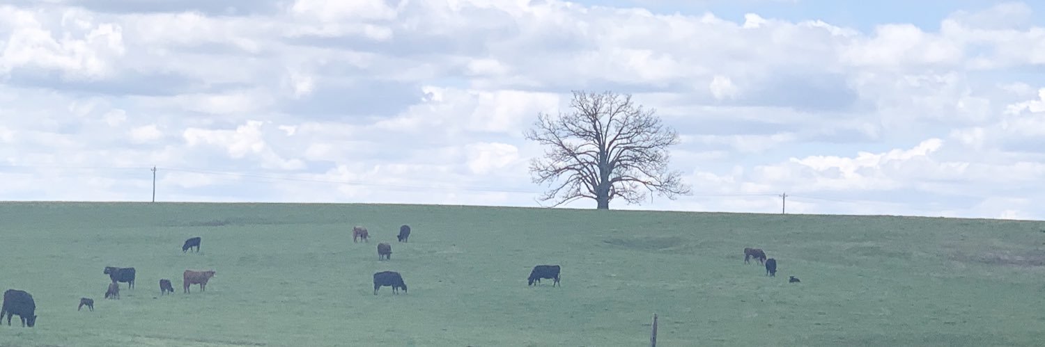 RobbieNDavis's profile banner image