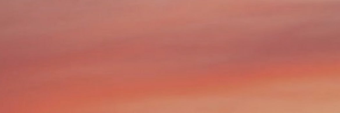 soph🗡️ banner