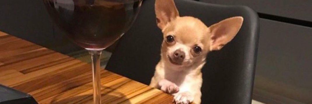 Andre The Mage 🧙🏽‍♂️ banner