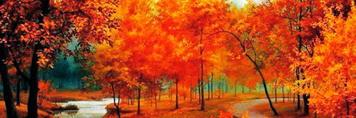 olivia_tchik's profile banner image
