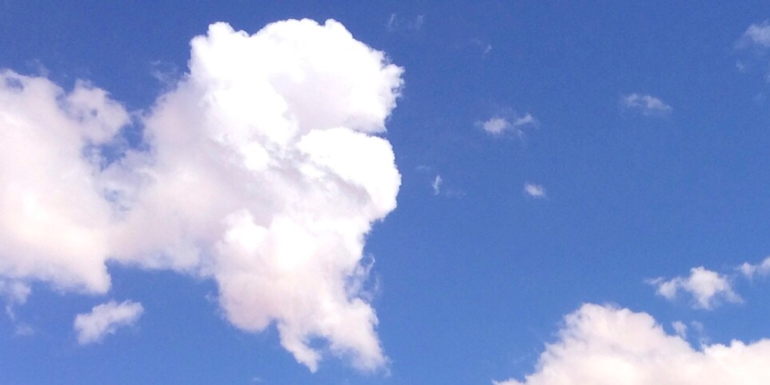 aulakhsam's profile banner image