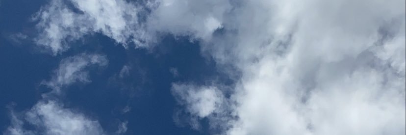 tdrose_'s profile banner image
