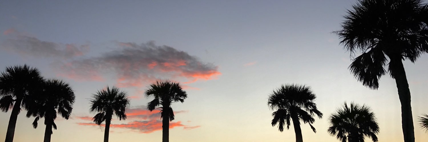 CarlaKossayda's profile banner image