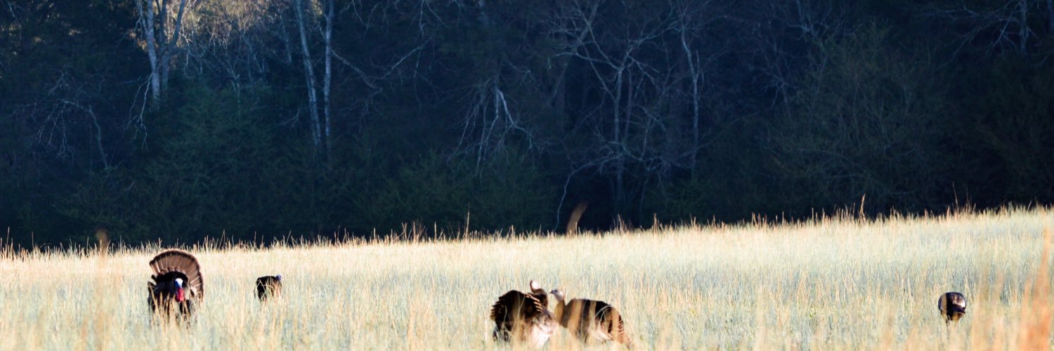 pruitt_big42's profile banner image