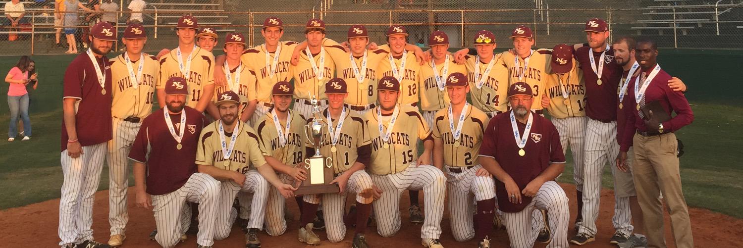 NSHBaseball2023's profile banner image