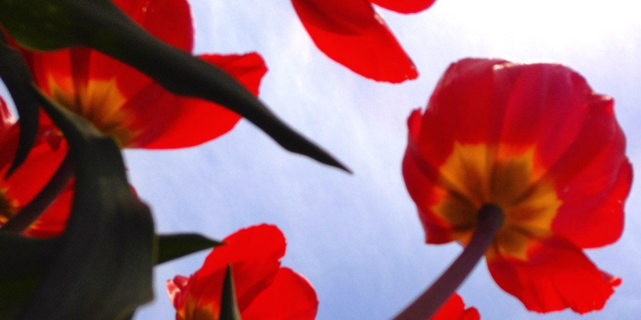 Mo_Dezz's profile banner image