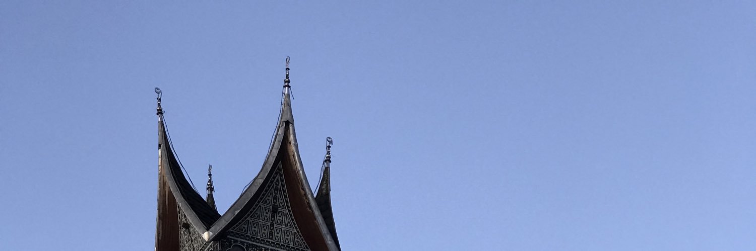 udafedd's profile banner image