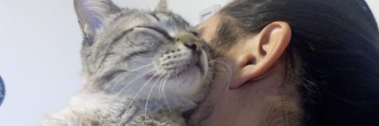 LeSuzuki's profile banner image