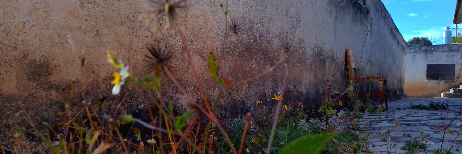 Maria_MndezT's profile banner image